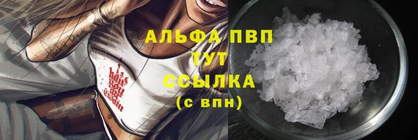 шишки Баксан