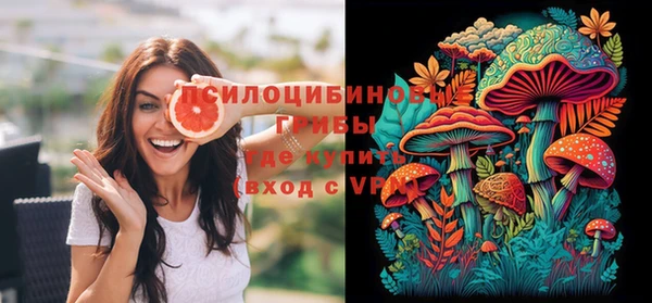 шишки Баксан