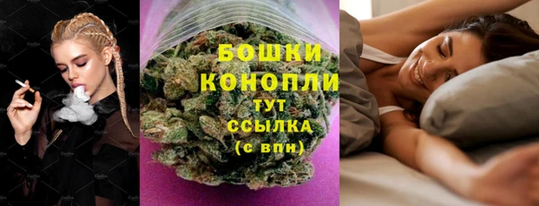 шишки Баксан