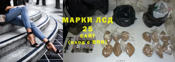 шишки Баксан