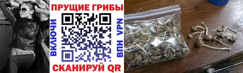 Галлюциногенные грибы Cubensis mega ссылка Богородицк