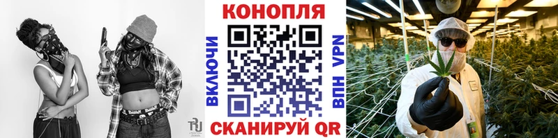 где можно купить   Богородицк  Канабис план 